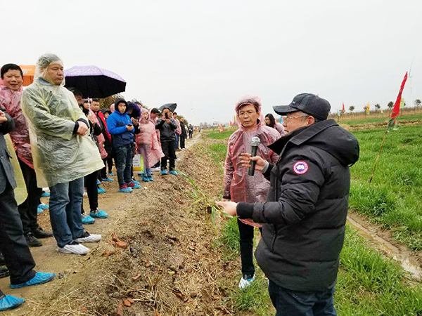 1533175806108233.jpg 6.jpg