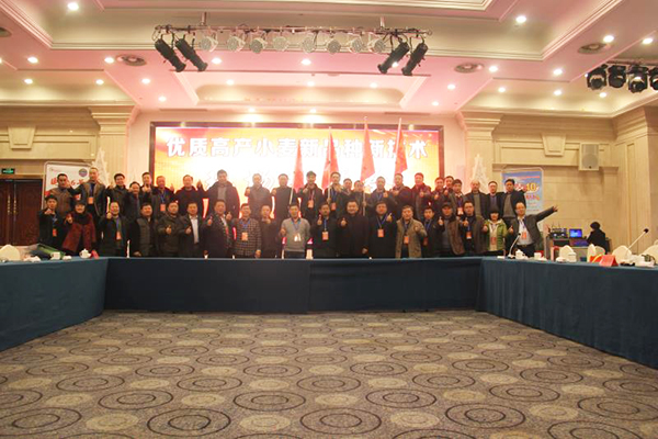 1533176099431565.jpg 10.jpg