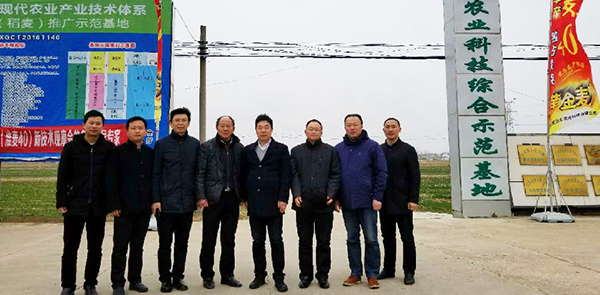 1533176150812741.jpg 4.jpg