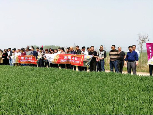 1533176663609114.jpg 2.jpg