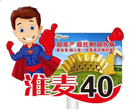 1533176821114176.jpg 5.jpg