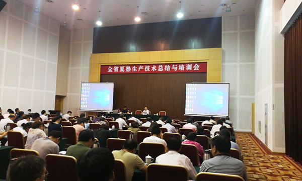 1533188044138183.jpg 2.jpg