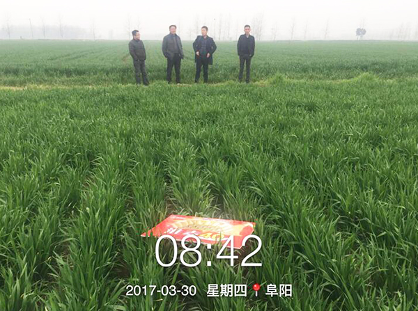 1533191784100702.jpg 2.jpg