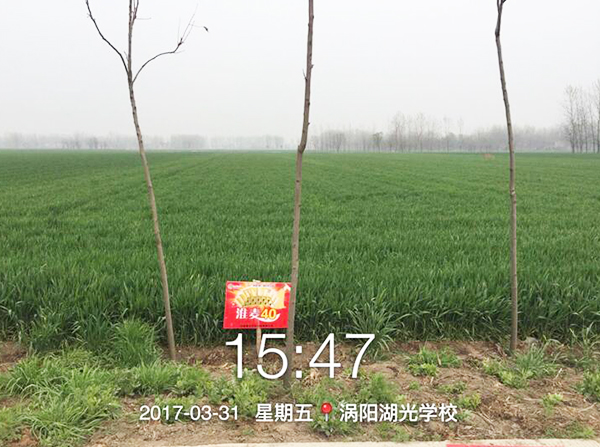 1533191794278845.jpg 4.jpg