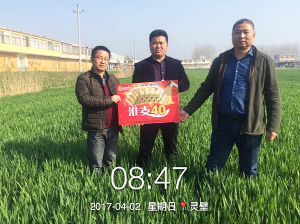 1533191815120910.jpg 8.jpg