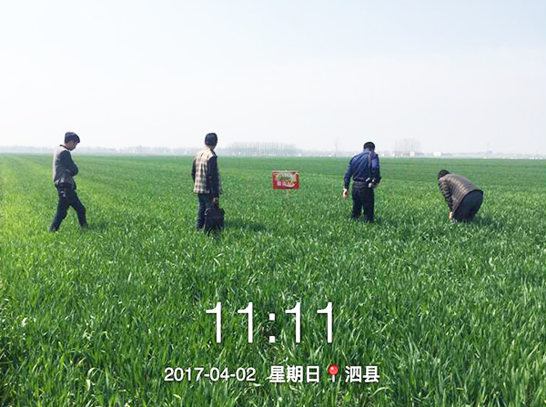 1533191824870963.jpg 10.jpg