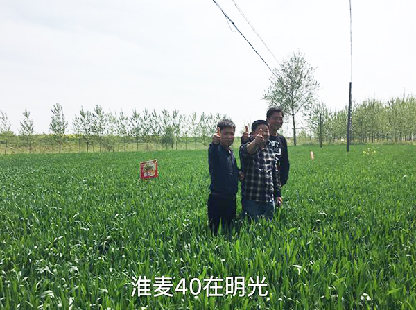 1533191832731540.jpg 12.jpg