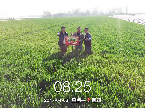 1533191840109223.jpg 14.jpg