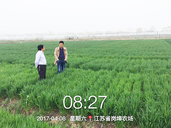 1533191860126797.jpg 18.jpg