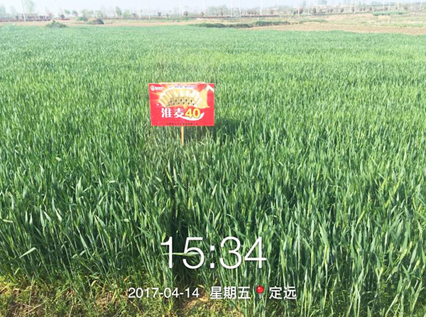 1533191868123552.jpg 20.jpg