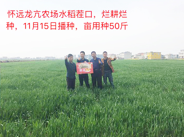 1533191878714499.jpg 22.jpg