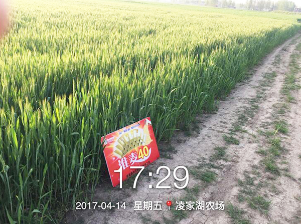 1533191889162832.jpg 24.jpg