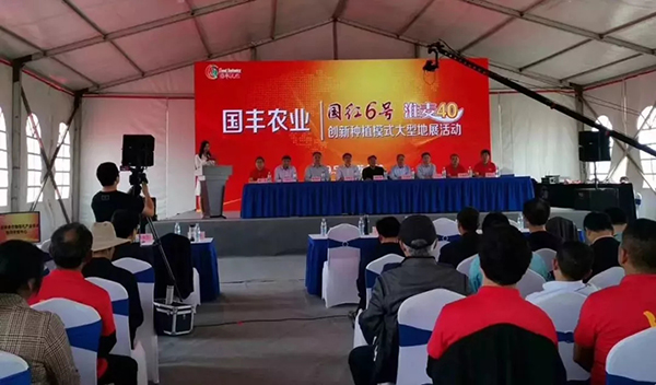 1560847038597095.jpg 1.webp.jpg