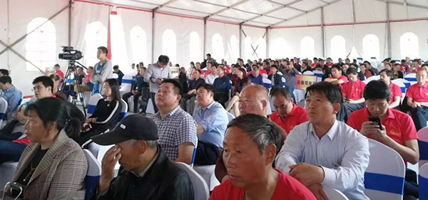 1560847050886274.jpg 2.webp.jpg