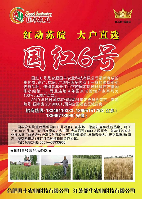 1560847070171740.jpg 4.webp.jpg